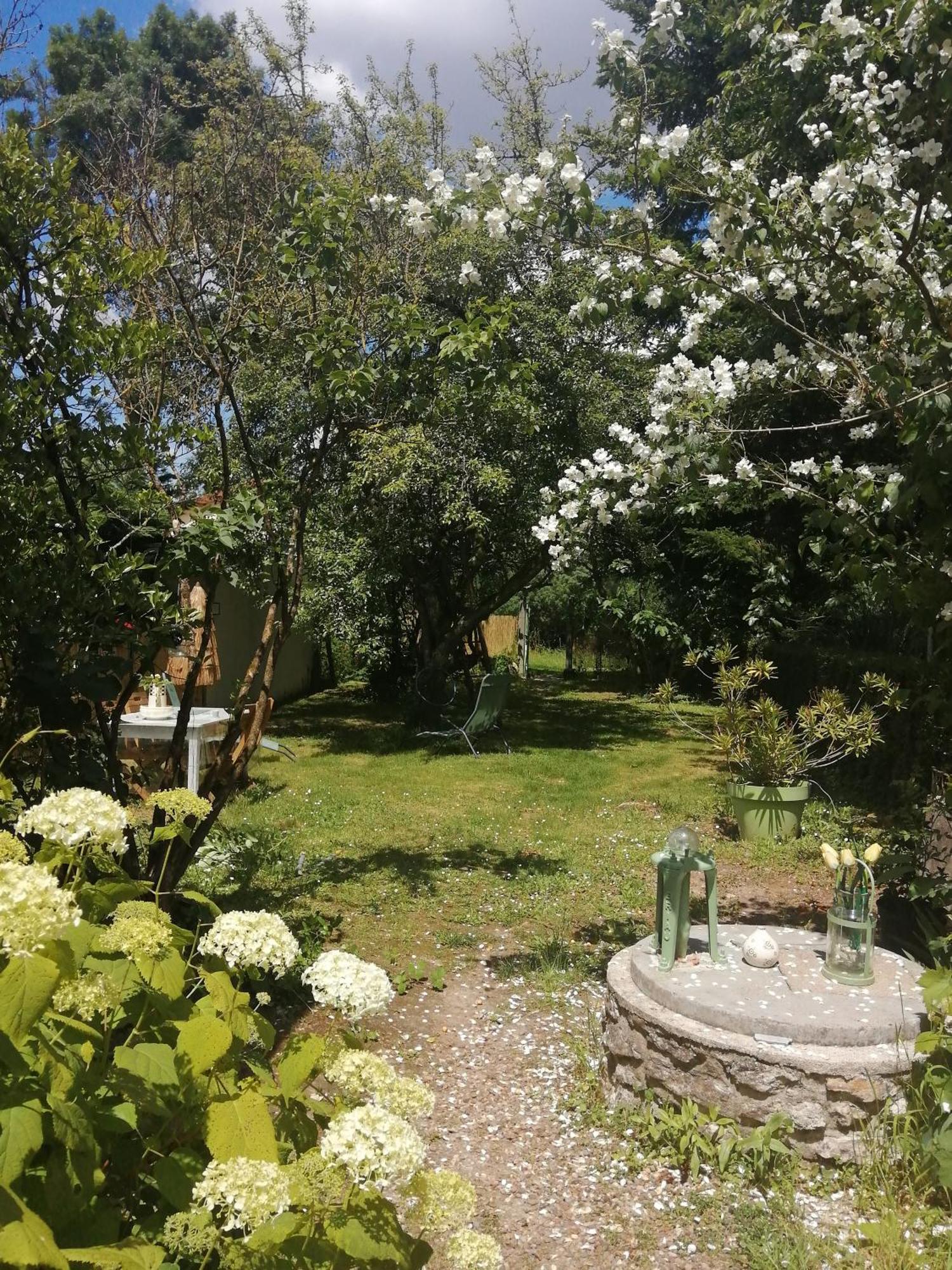 Maison " Bouton D'Or" Au Bord De L'Eau, A 10 Mn De Tours , Meuble Classe Une Etoile Saint-Avertin Esterno foto